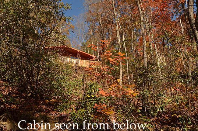 #820 Honeymoon Hideaway