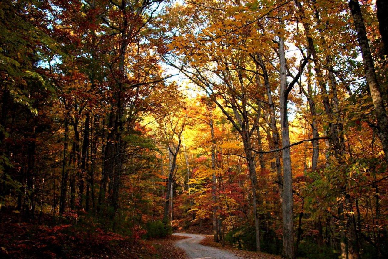 Woods Mountain